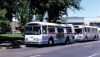 UTA3005_Jun81JC.jpg