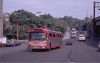 RedTan69_31St_6-17-81JT.jpg