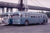 TA5098onRtM1DonWeissColl.jpg