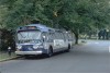 TA6023onRtB16atShoreRd_4Ave9-17-81SZ.jpg