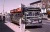 TA8084onRtB41atFlatbushAve_NostrandAve9-19-73DG.jpg