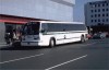 Green1004_Q60_QueensWoodhvn_11-25-79DG.jpg