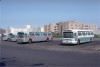 Green609etal_Arverne_8-1-81DG.jpg