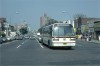 Jamaica310_HillsideParsons_6-15-81SZ.jpg
