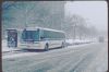 MABSTOA-PA2461onRtBX20at225St_Broadway4-6-82SZ.jpg