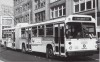 SeattleMetro4022onRt7ScanColl.jpg
