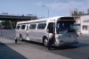 WestchesterStTransp509onRt20atBedfordPkBlvd_JeromeAve7-25-82DG.jpg