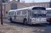 TNJ7046onRt21on2-24-80DG.jpg
