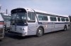 TNJ7174onRtE4-1-78.jpg