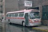 Domenico537_FT_10191975EM.jpg