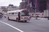 Domenico87_05221972ETG.jpg