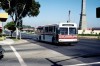 Torrance_415_7-1983_s.jpg