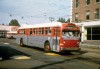 St_Louis_3711_Evda_Slides_s.jpg