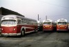 St_Louis_71_ex-Caseyville_Bus_Lines_Evda_Slides_s.jpg