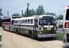 Atlantic_City_Transportation_339_Jun78EG.jpg