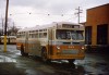 Dallas_523_Evda_Slides_s.jpg