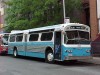 699_nytm_bh.jpg