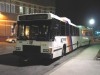9128_bigtree_02152004mp.jpg