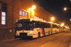 9148_bigtree_02152004mp.jpg