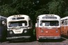 7141-56.jpg