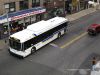251W52IMG_1588.jpg