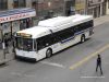 267W42IMG_1596.jpg