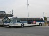 3966_CS_10252004mp.jpg