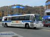 5123B1DSCN1907.jpg