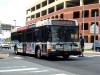 554NabiLFCIMG8360.jpg