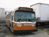 557a.jpg