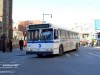 6066Q66CIMG2736.jpg