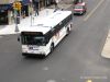 648w42IMG_1586.jpg