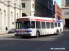 8219SEPTACIMG3013.jpg