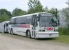 CATA7804atSeashoreME7-6-02JT.jpg