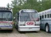 CATA7833atSeashoreME7-6-02JT.jpg