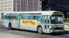 Detroit-2632_11-1978-c.jpg