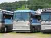 GH2730_GreyGoose_7-3-12mp.JPG
