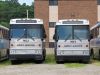 GreyGoose38584-37742_7-3-12mp.JPG