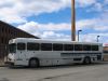 IMG_8026.JPG