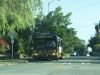 KCM3192_rt17_32AveNW_85St_8-6-12mp.JPG