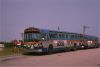 MSBA426atJonesBeach6-75SZ.jpg