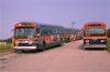 MSBA470atJonesBeach6-75SZ.jpg