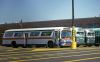 MSBA_579_Ulmer_Park_(TA)_Garage_3-23-1980_gibbs.jpg