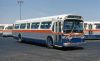 MSBA_703_5-21-1981_mb.jpg