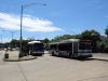 MTA3533-LIBus1732_Mott_7-5-09mp.jpg