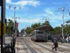 MUNI8430r_rtF_Ferry_8-18-13mp.JPG