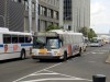 NJT3728_07062006JC.jpg