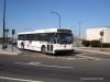 NJT5412GO28IMG_2122.jpg