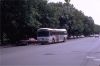 NJT7698atBergenlineAve_85St6-17-81JT.jpg