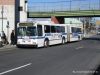 NYCBus1004Bx5IMG_2054.jpg